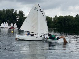 Optiregatta 2022