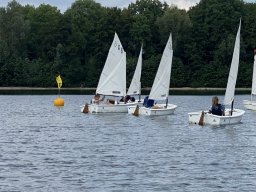 Optiregatta 2022